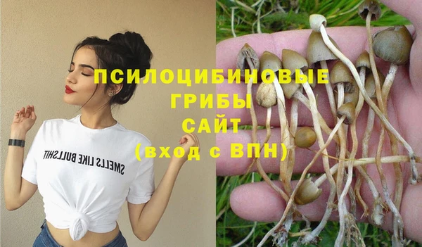 ГАЛЛЮЦИНОГЕННЫЕ ГРИБЫ Коряжма