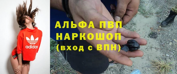 СК Козловка