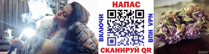 Конопля гибрид  наркота  Хилок 